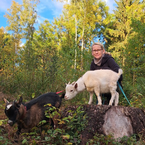 Die Zwergziegen Nova und Picco besuchen &bdquo; Brasilien&ldquo; &hellip;