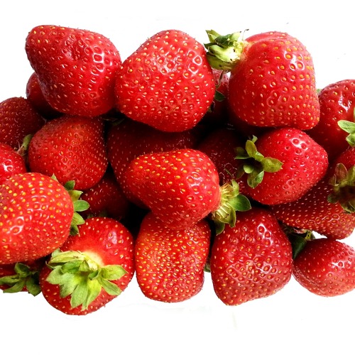 Wissenswertes zu Erdbeeren, Rhabarber, Hochbeet und Rosen…