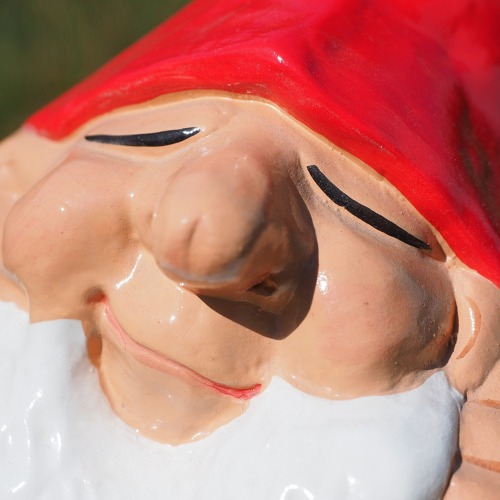 Zur Zeit steht leider kein freier Garten zur Verf&uuml;gung !